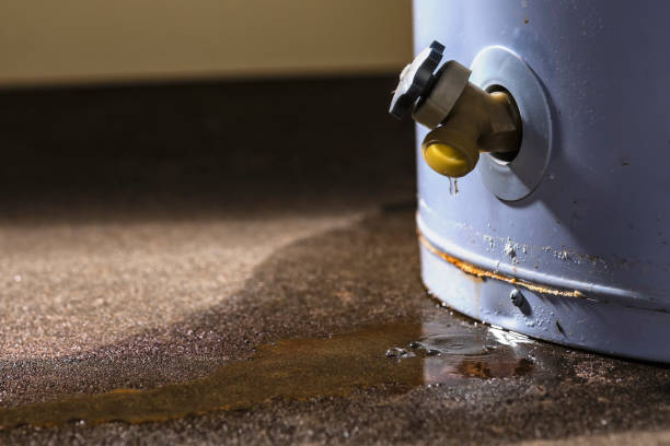 Best Mold removal after water damage  in Bellows Falls, VT