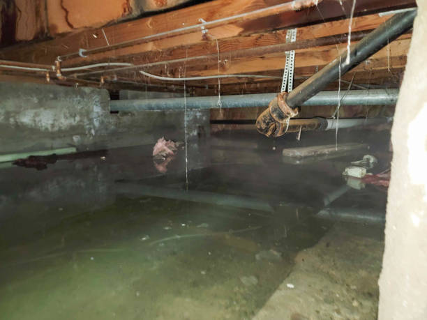Fire Damage Restoration in VT