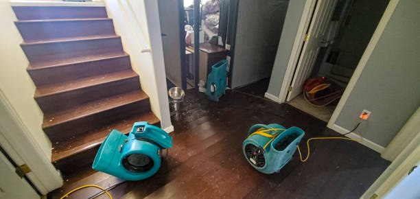 Best Water damage contractors near me  in Bellows Falls, VT