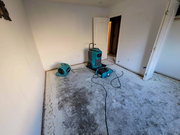 Best Flood damage cleanup  in Bellows Falls, VT
