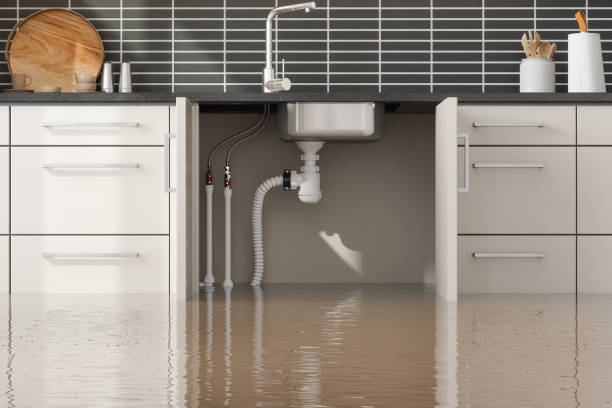 Best Water damage cleanup near me  in Bellows Falls, VT