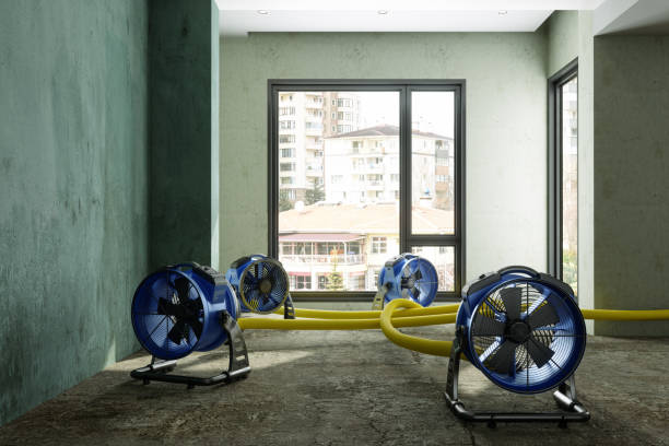 Best Water damage restoration insurance claims  in Bellows Falls, VT